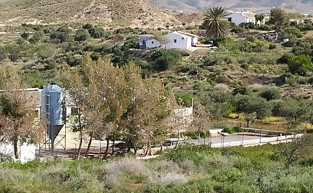 Imagen de la explotación porcina facilitada por Ecologistas en Acción.