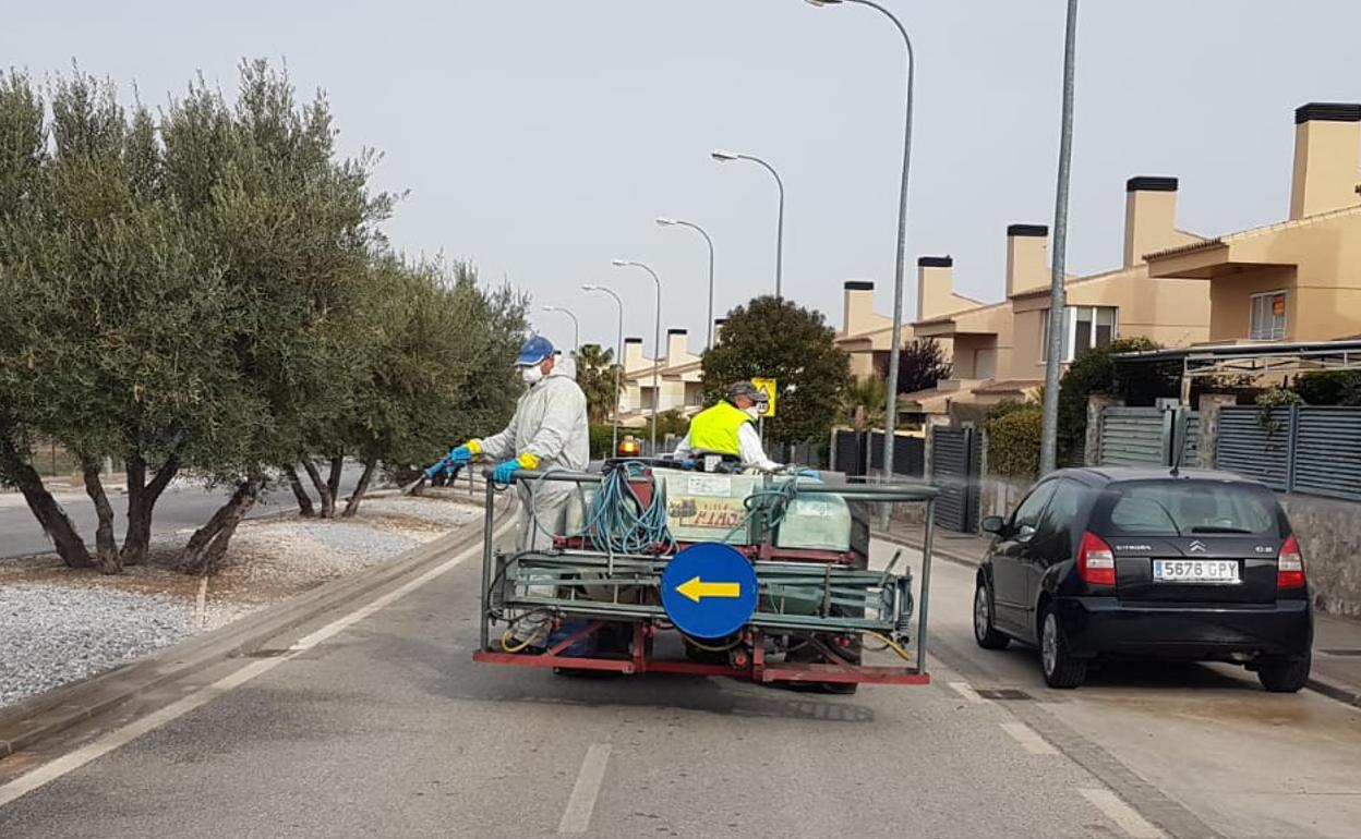 Labores de desinfección en Otura