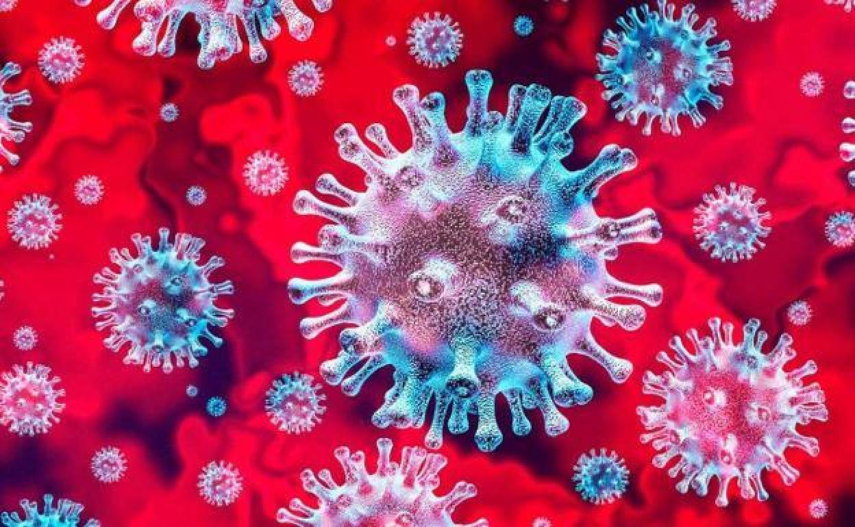 El Hantavirus, el otro virus de China: síntomas y cómo se contagia