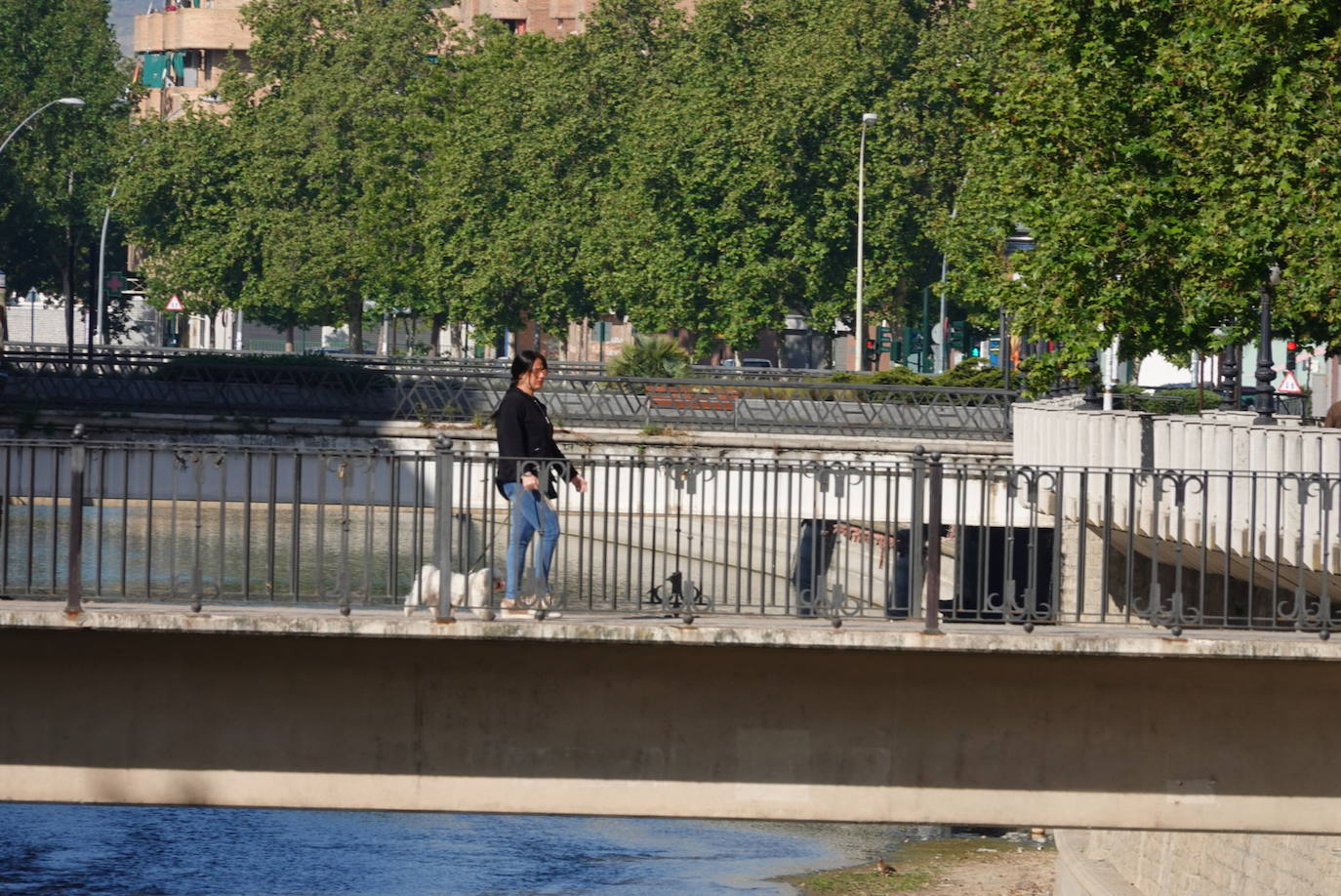 El confinamiento por el estado de alarma deja las calles de Granada absolutamente vacías una en una jornada de tradicional bullicio que se habría visto reforzada por el tiempo despejado