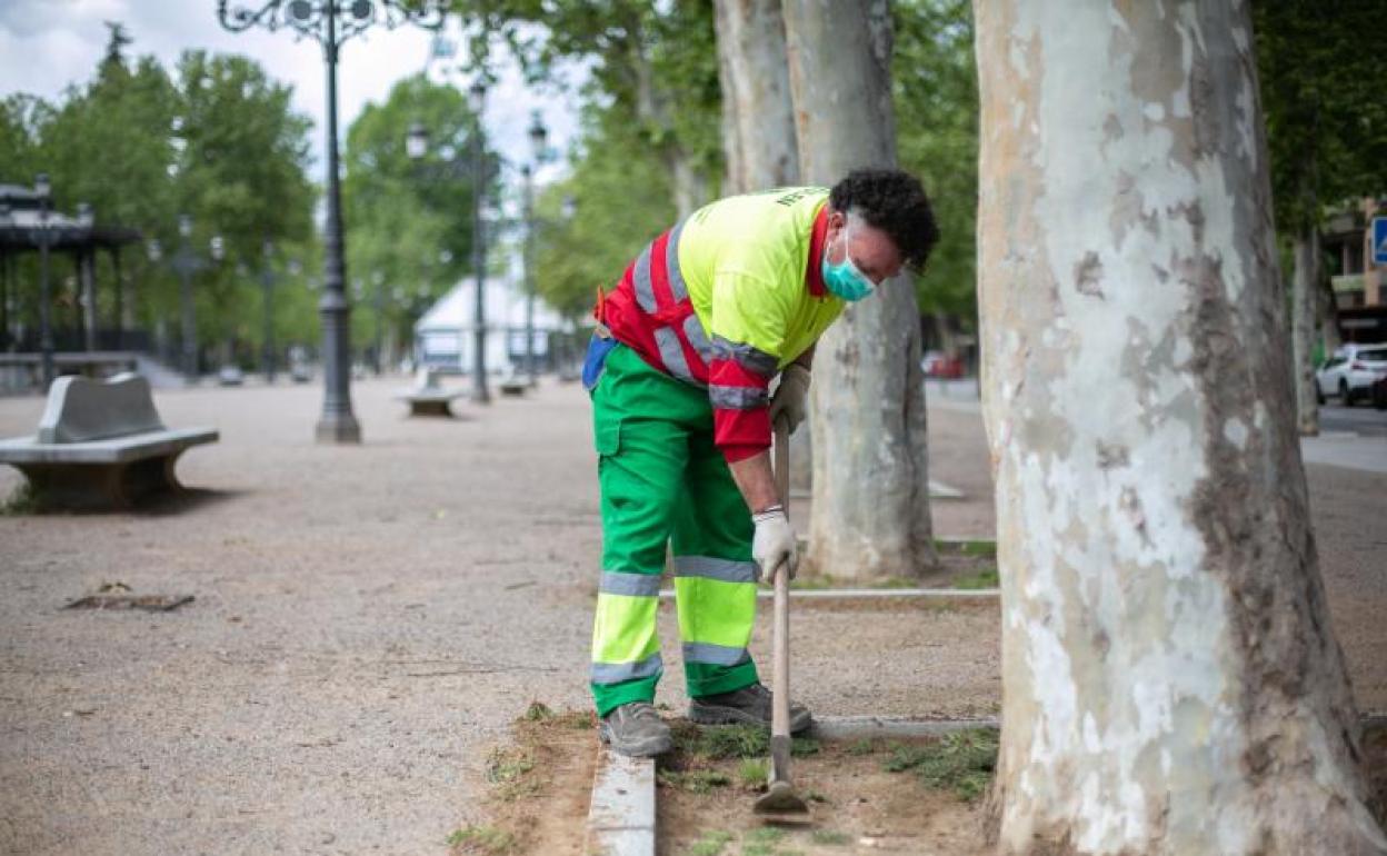Un jardinero del Ayuntamiento de Granada realiza labores de manteniniento en el Paseo del Salón.