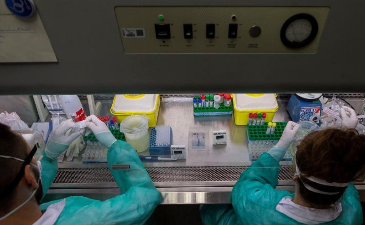 Investigadores en un laboratorio 