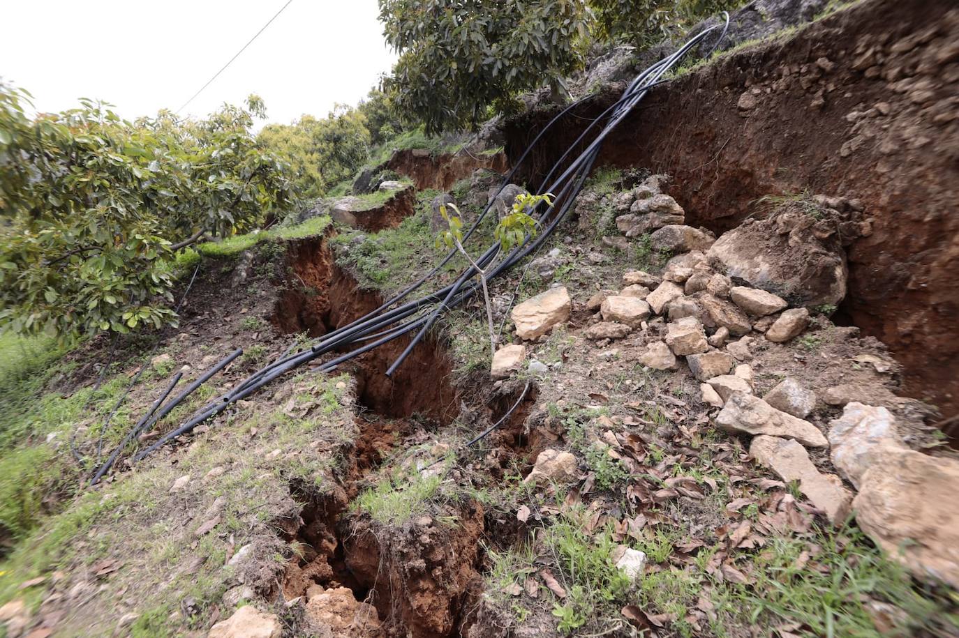 El corrimiento de tierras ha provocado daños en cuatro viviendas y un depósito de agua.