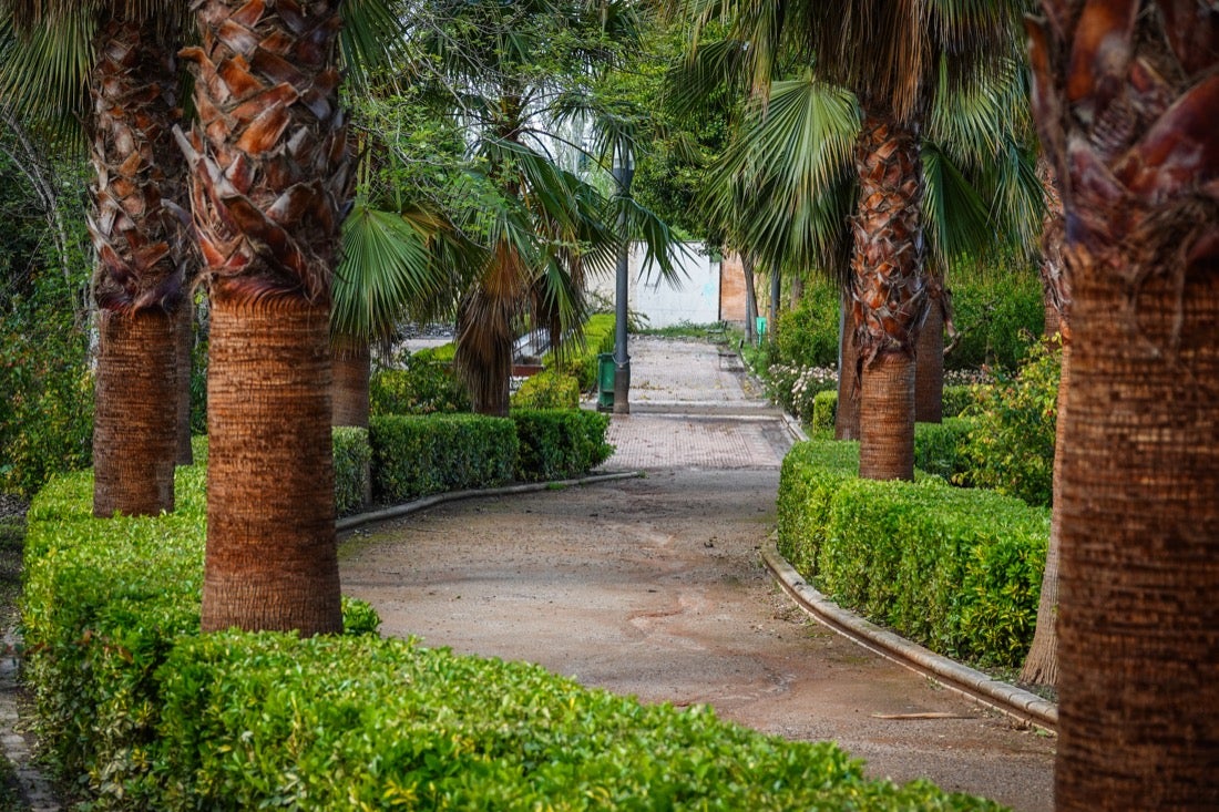 Las flores comienzan a abrirse camino en el Parque García Lorca sin visitantes que puedan disfrutar de ellas por el confinamiento