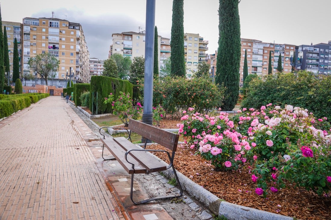 Las flores comienzan a abrirse camino en el Parque García Lorca sin visitantes que puedan disfrutar de ellas por el confinamiento