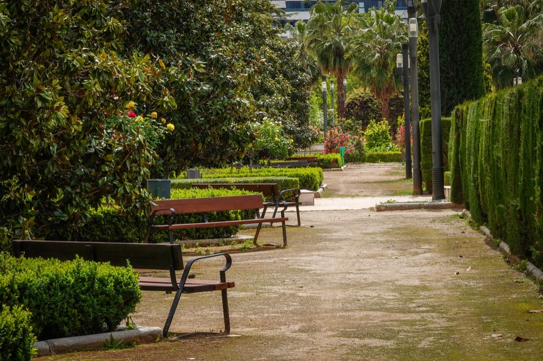 Las flores comienzan a abrirse camino en el Parque García Lorca sin visitantes que puedan disfrutar de ellas por el confinamiento