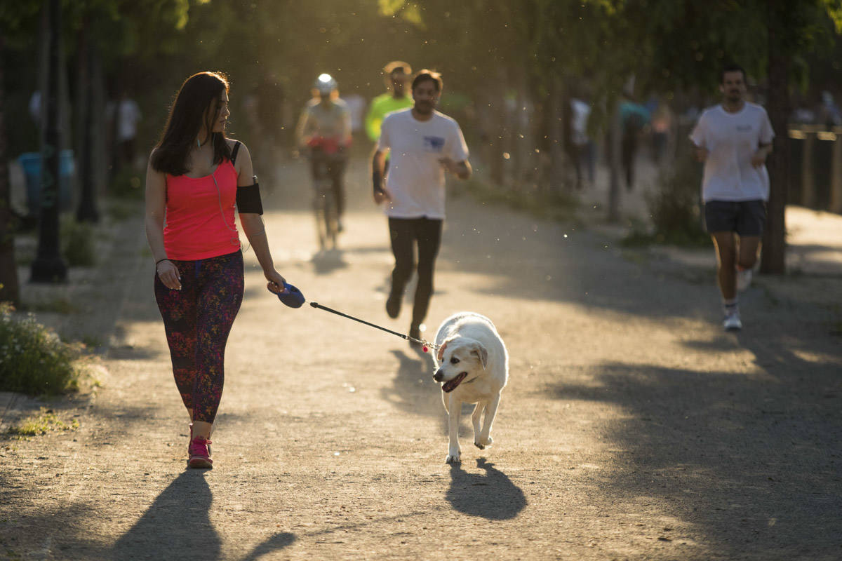 Las calles de la ciudad se han llenado de ciudadanos que han salido a las calles y plazas a partir de las 20.00 horas 