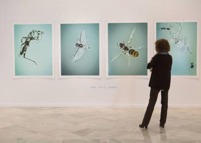 Imagen secundaria 1 - Tres exposiciones que se quedaron 'colgadas' con la alerta. Arriba, 'Border' de Carmen Almécija en el Palacio de las Niñas Nobles de la Diputación. Abajo, 'Shooting Star/Solitude', de Santiago Bueno y James Good, en el Palacio de los Condes de Gabia, y 'El espacio interior', de Bernardino Sánchez, en la Madraza.