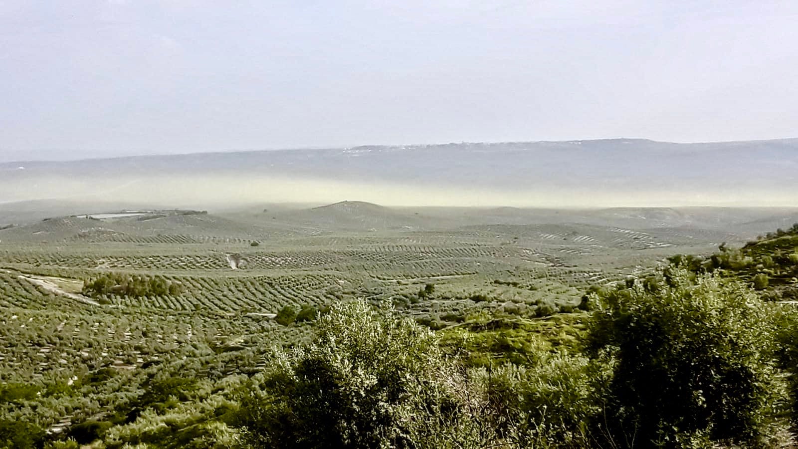 Zona de Jaén capital