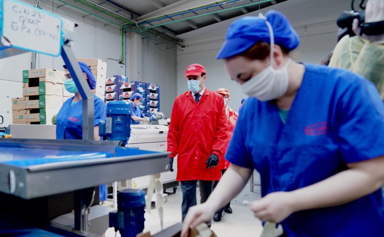 Moreno en las instalaciones de Vicasol.