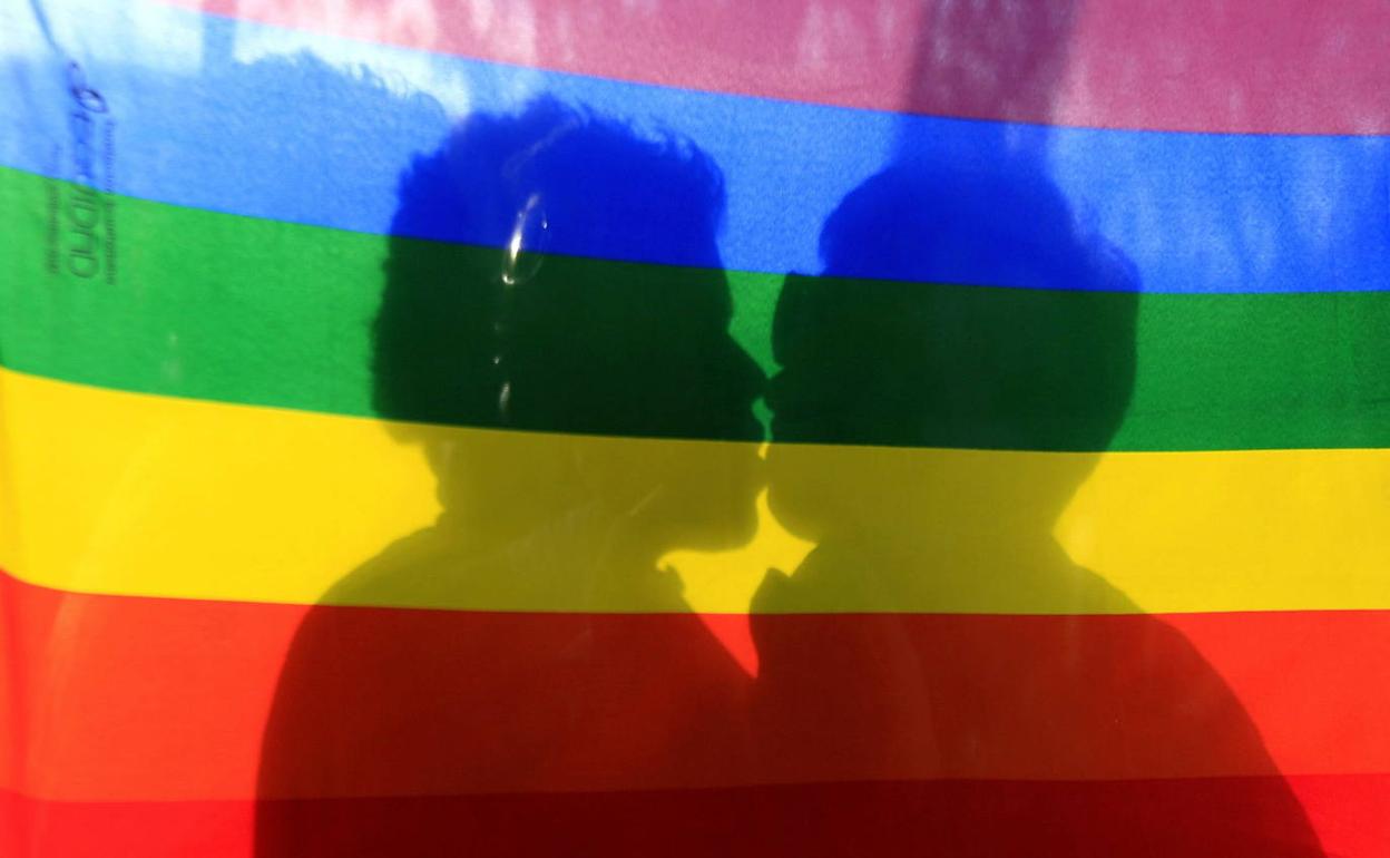 Colega Almería advierte de que la homofobia no se frena: detectados 32 casos durante el confinamiento | Coronavirus