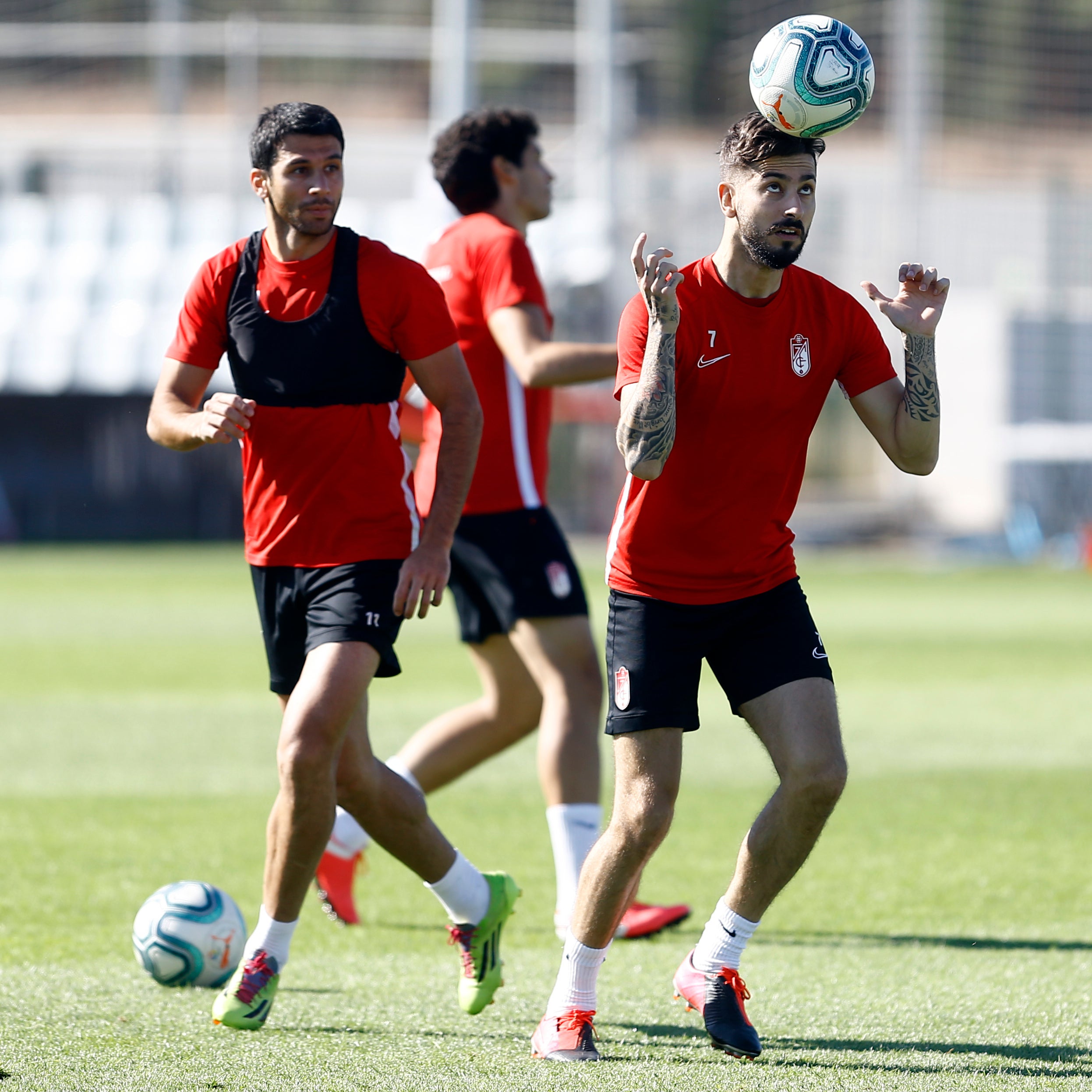 Fotos: Así ha sido el entrenamiento del Granada este martes