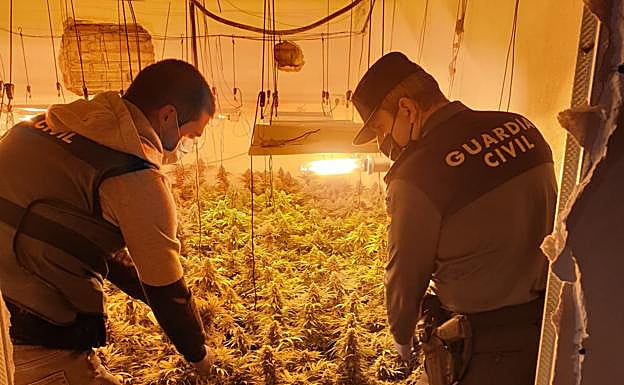 Un conductor adelanta a un coche de la Guardia Civil y el olor de 60 kilos de marihuana lo delata