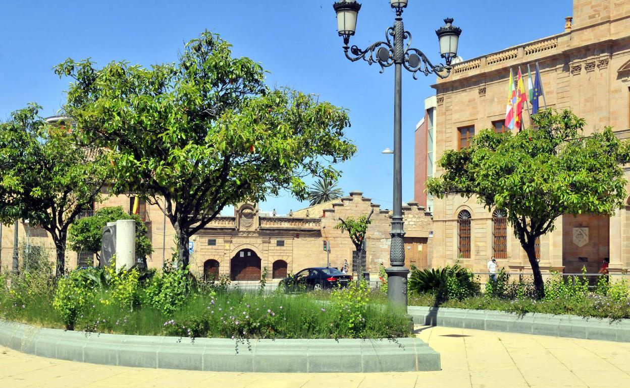 Jardines más frondosos de lo habitual en la Plaza del Ayuntamiento. 