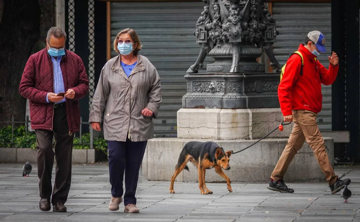 Un hombre pasea a su perro durante el estado de alarma.