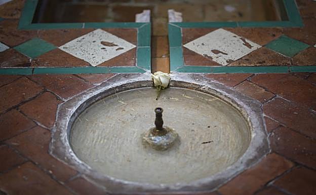 La fuente de donde mana el agua que va a la pequeña alberca. 