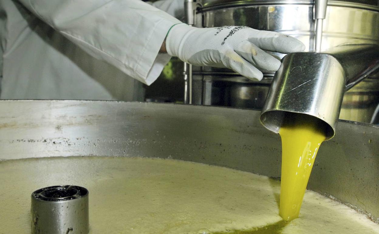 España pide a Bruselas una prórroga del almacenamiento de aceite de oliva para recuperar los precios