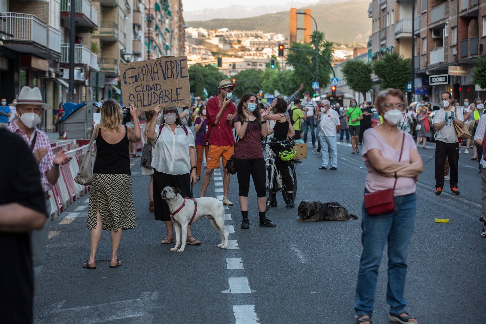 Decenas de personas protestan contra la decisión del Ayuntamiento de talar los árboles de la calle Palencia