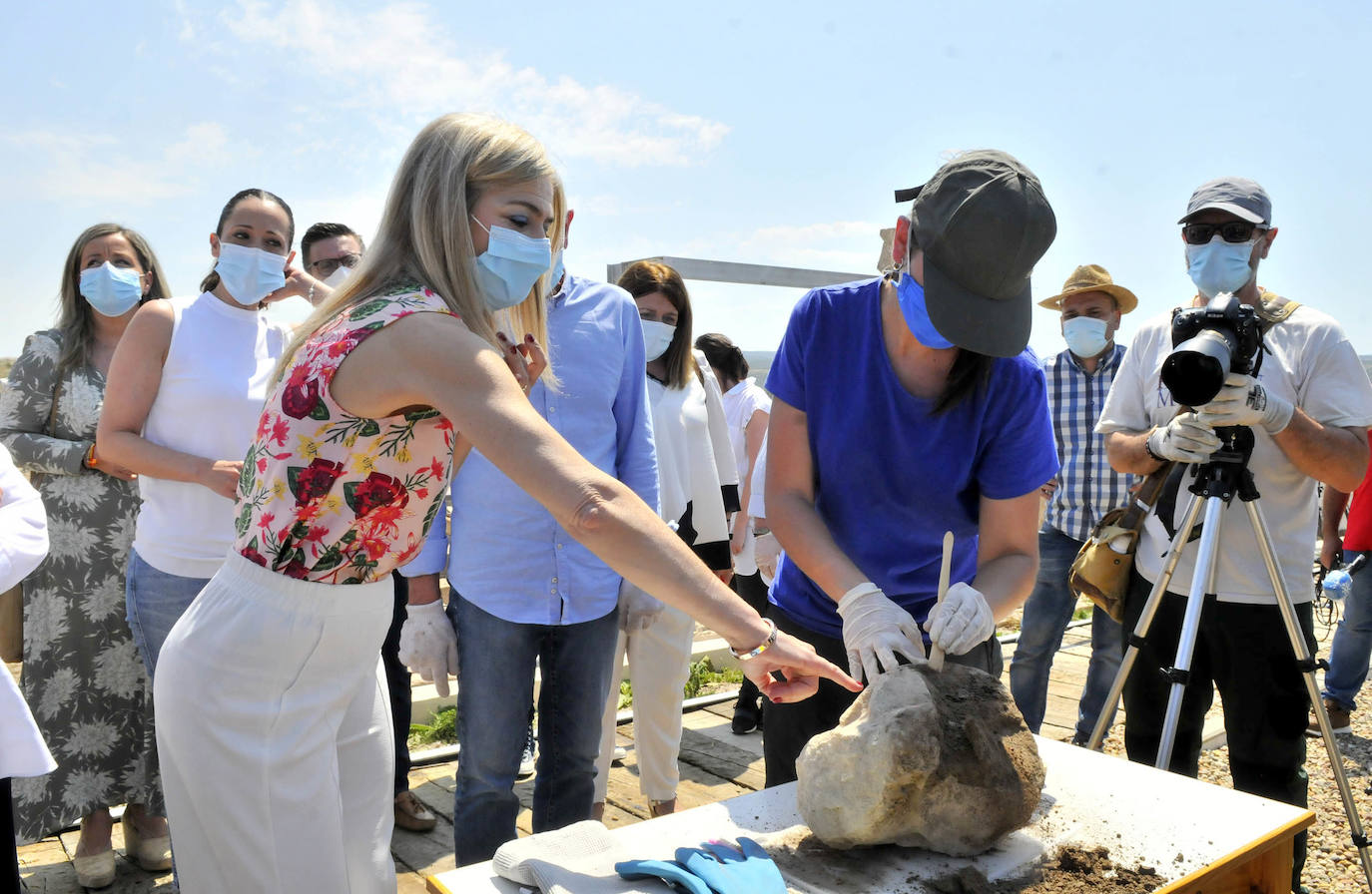 Fotos: Nuevo hallazgo en el yacimiento de Cástulo