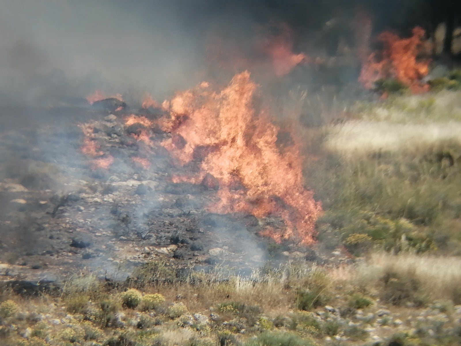 El incendio ha sido declarado pasadas las 16 horas