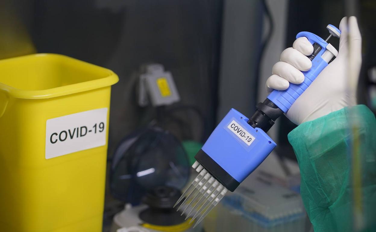 Realización de pruebas para detectar la Covid-19 en un laboratorio. 