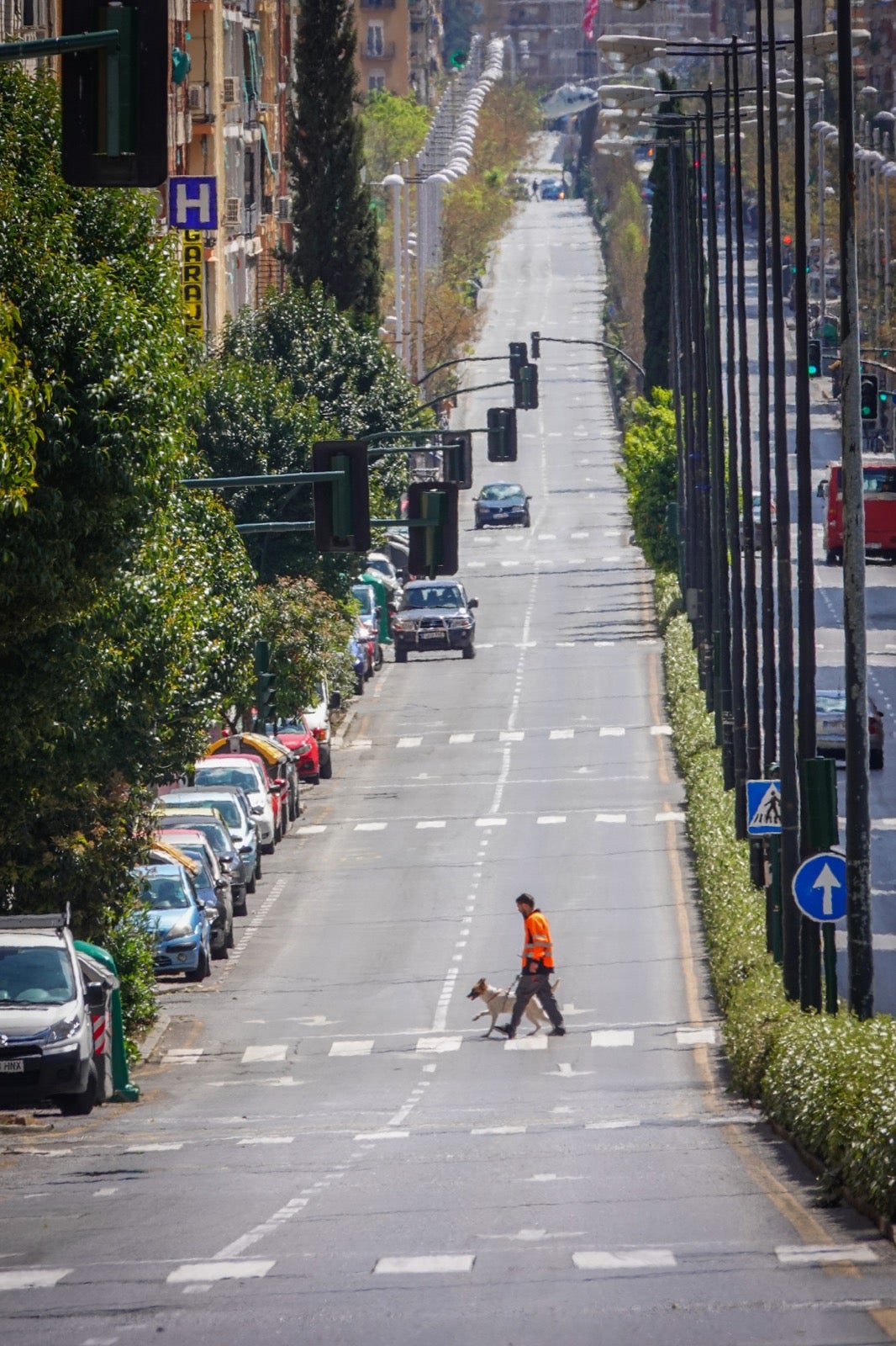 Echamos la vista atrás para recordar todo lo que les hemos contado y las huellas que esta pandemia ha dejado en la provincia