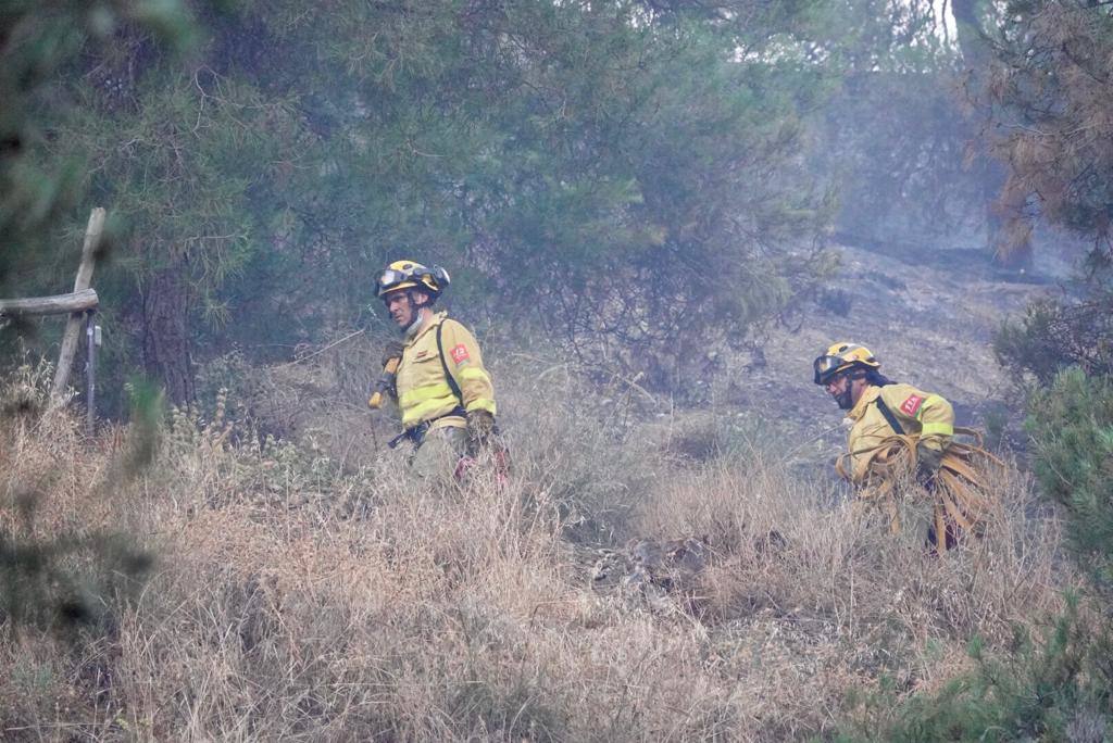 La evolución del fuego, según fuentes del Infoca, es favorable