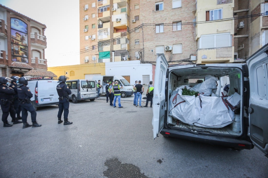 Policía Nacional ha registrado 36 viviendas y ha encontrado centenares de plantas de marihuana
