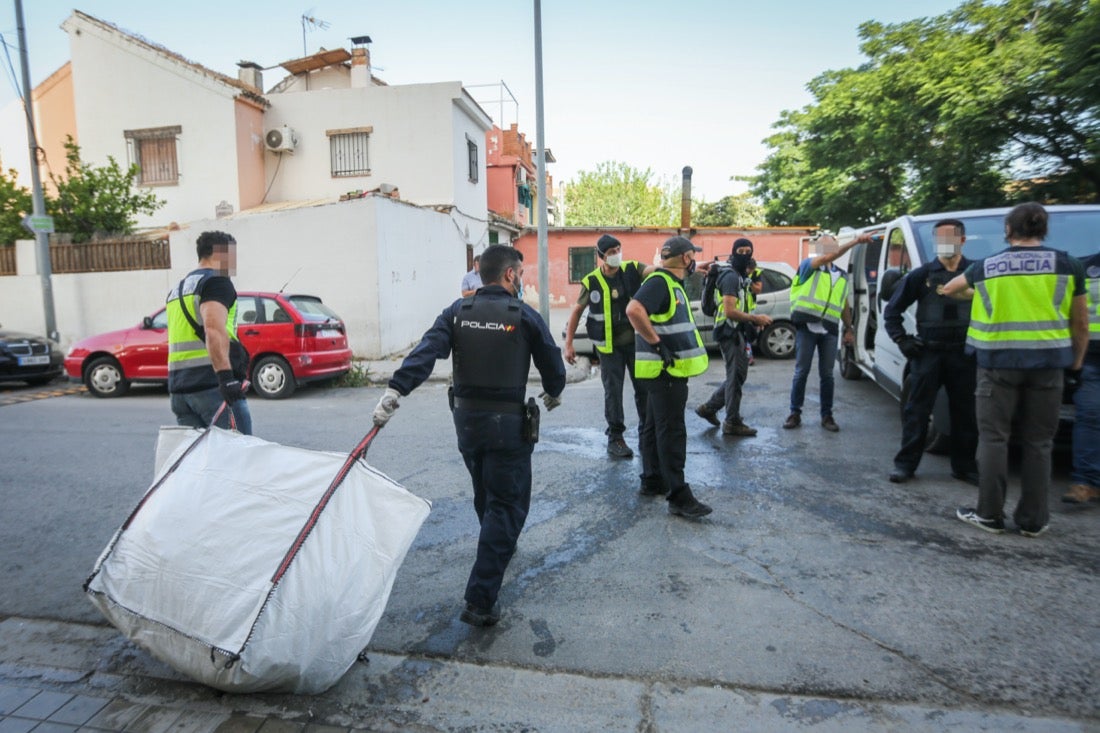 Policía Nacional ha registrado 36 viviendas y ha encontrado centenares de plantas de marihuana