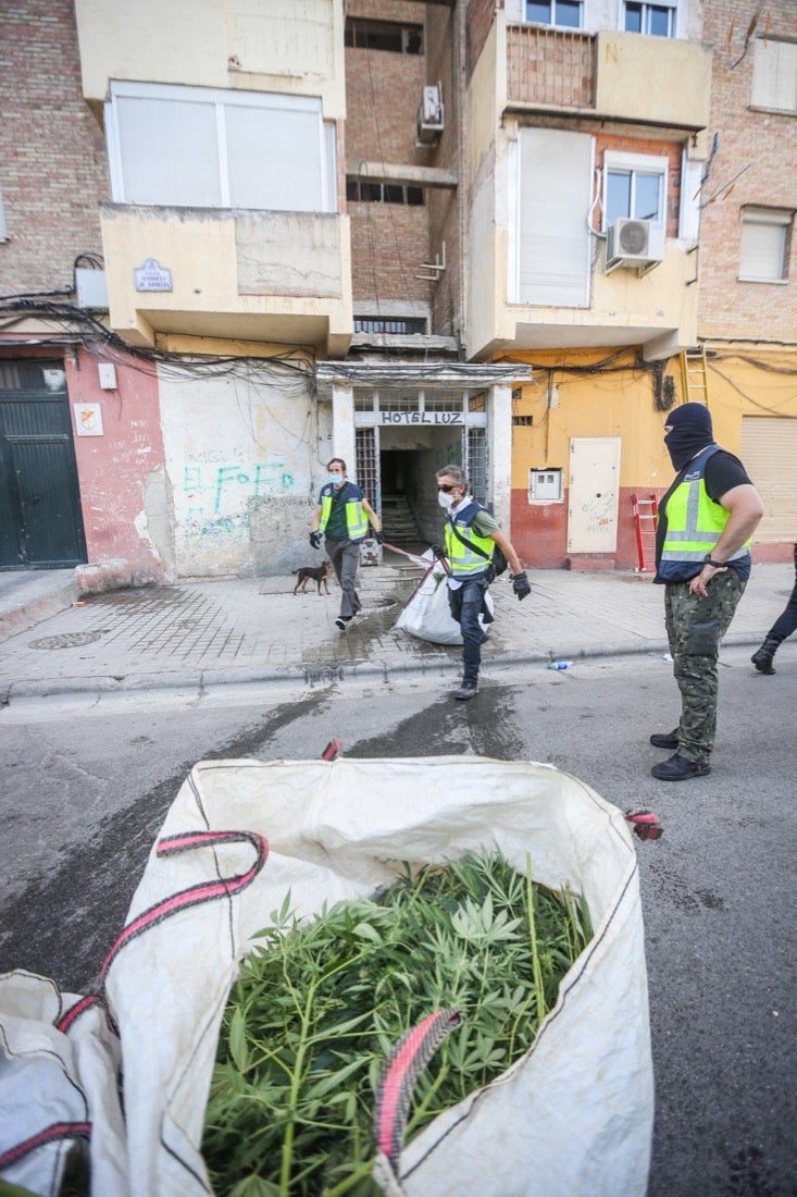 Policía Nacional ha registrado 36 viviendas y ha encontrado centenares de plantas de marihuana