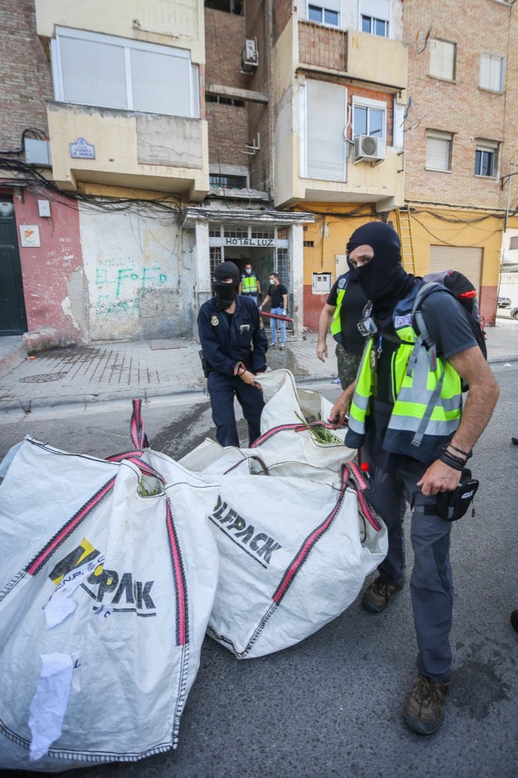 Policía Nacional ha registrado 36 viviendas y ha encontrado centenares de plantas de marihuana