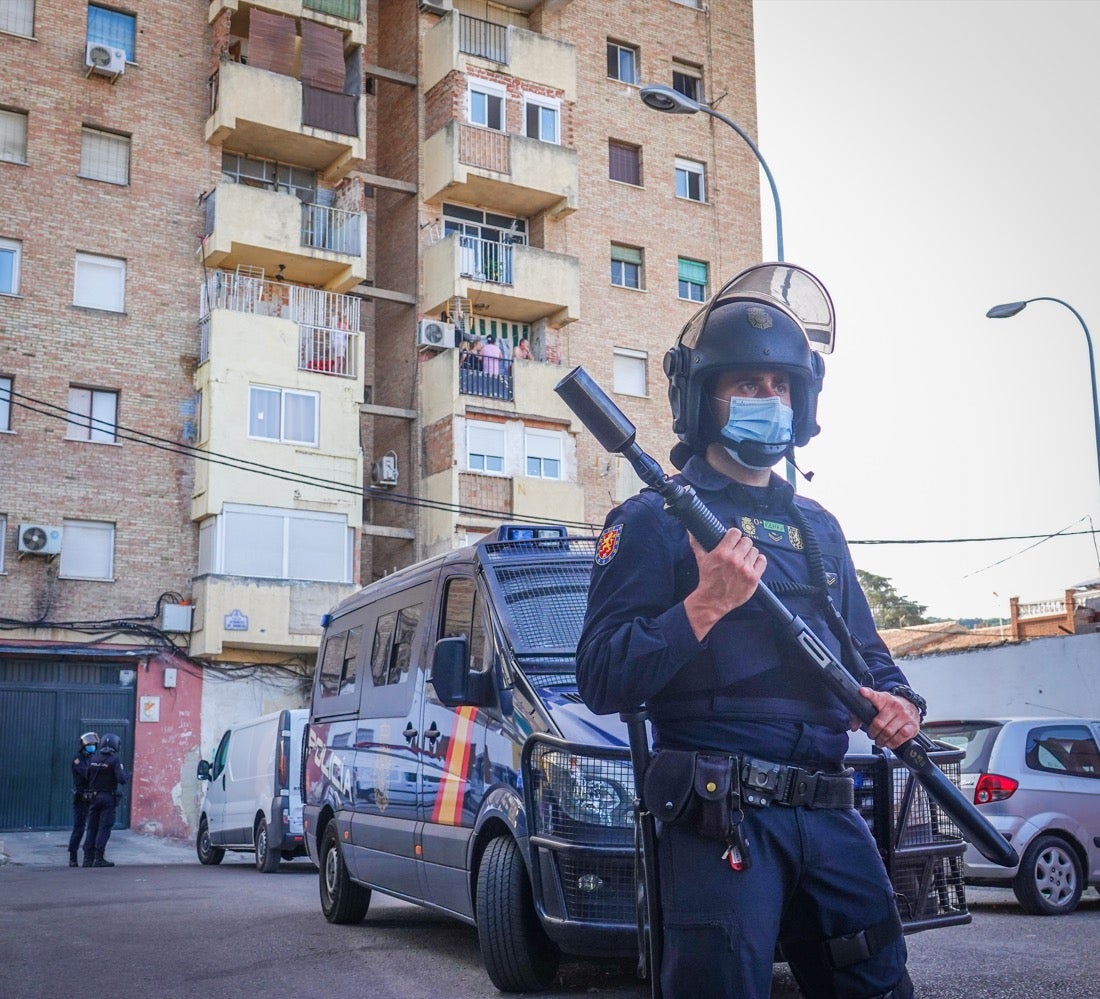 Policía Nacional ha registrado 36 viviendas y ha encontrado centenares de plantas de marihuana