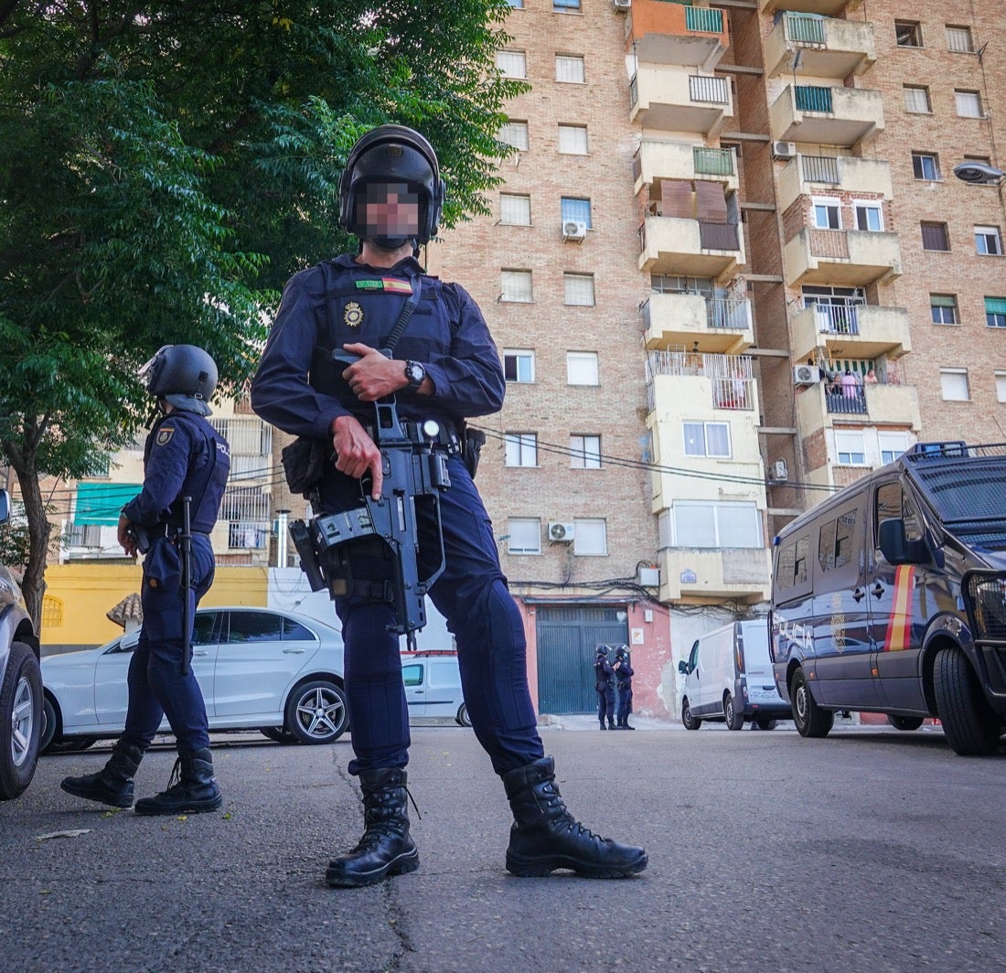 Policía Nacional ha registrado 36 viviendas y ha encontrado centenares de plantas de marihuana