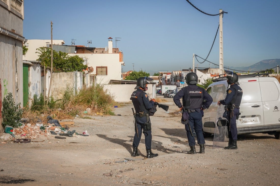 Policía Nacional ha registrado 36 viviendas y ha encontrado centenares de plantas de marihuana