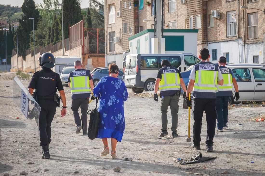 Policía Nacional ha registrado 36 viviendas y ha encontrado centenares de plantas de marihuana