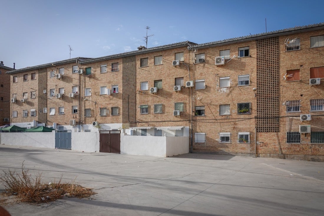 Policía Nacional ha registrado 36 viviendas y ha encontrado centenares de plantas de marihuana