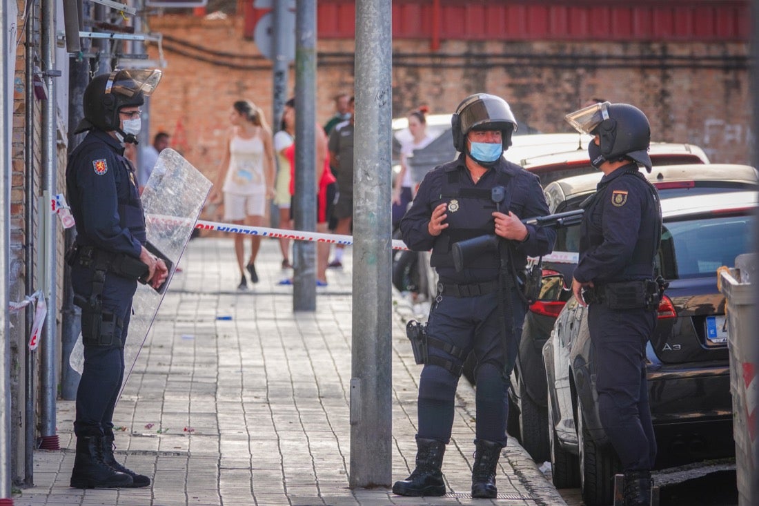 Policía Nacional ha registrado 36 viviendas y ha encontrado centenares de plantas de marihuana