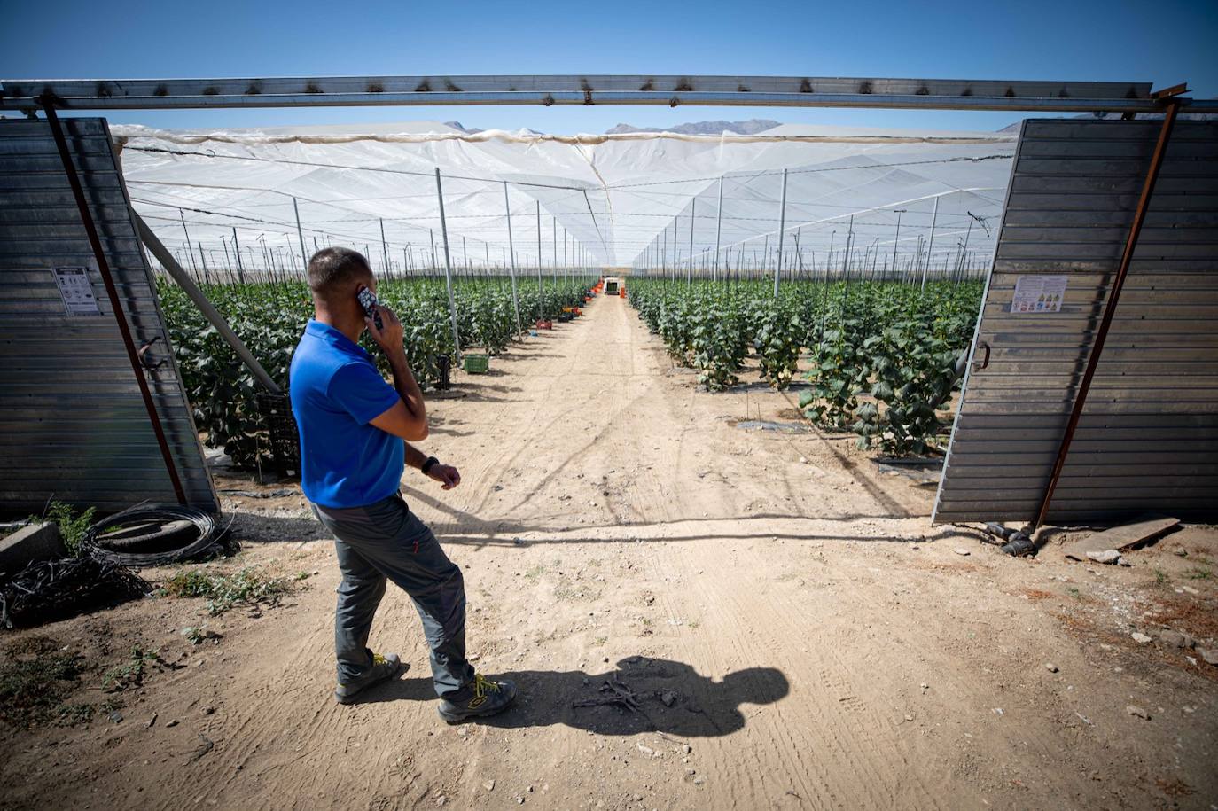 Fotos: Un brote con 15 temporeros confinados inquiera a Játar