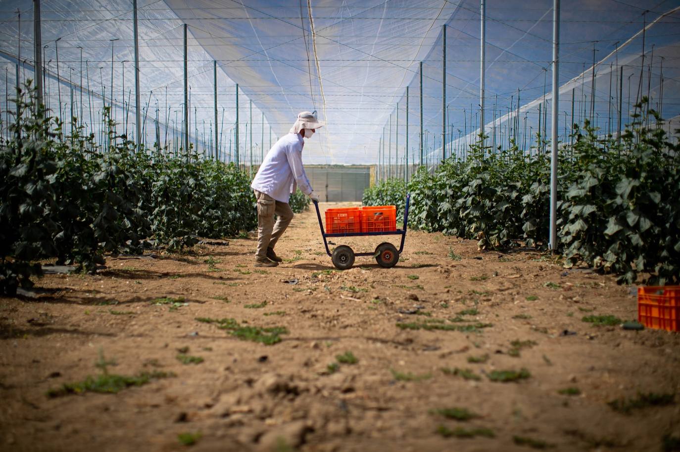 Fotos: Un brote con 15 temporeros confinados inquiera a Játar