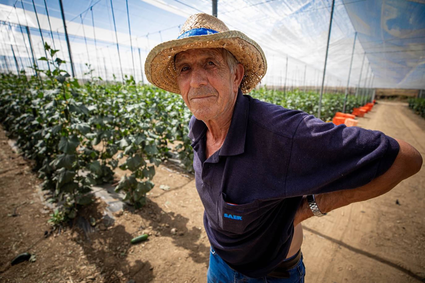Fotos: Un brote con 15 temporeros confinados inquiera a Játar