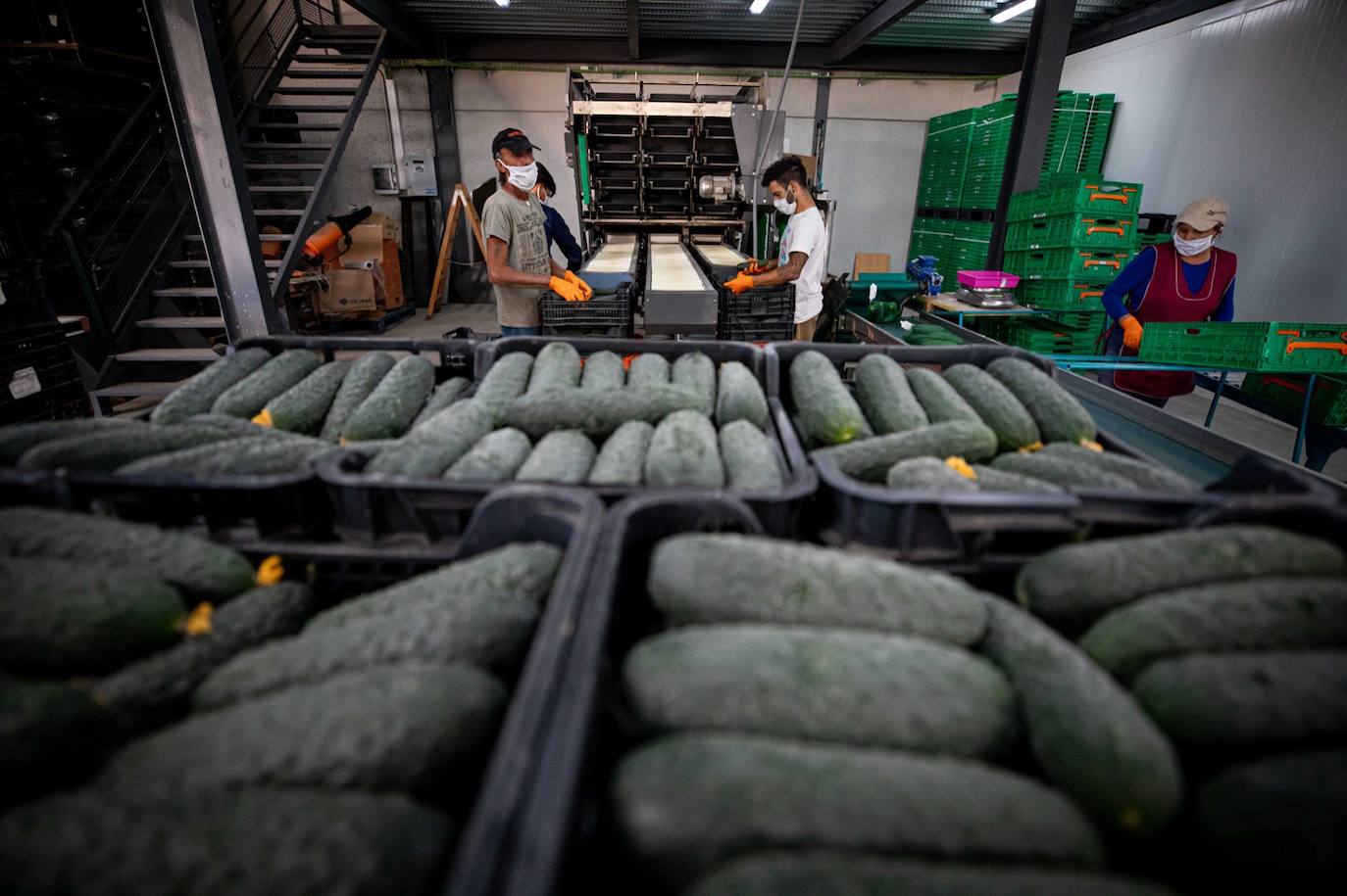 Fotos: Un brote con 15 temporeros confinados inquiera a Játar