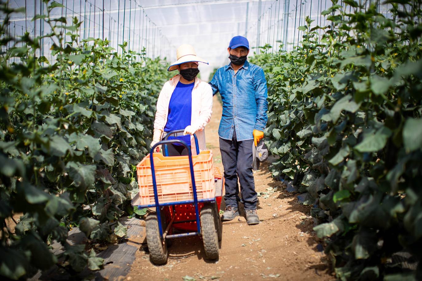 Fotos: Un brote con 15 temporeros confinados inquiera a Játar