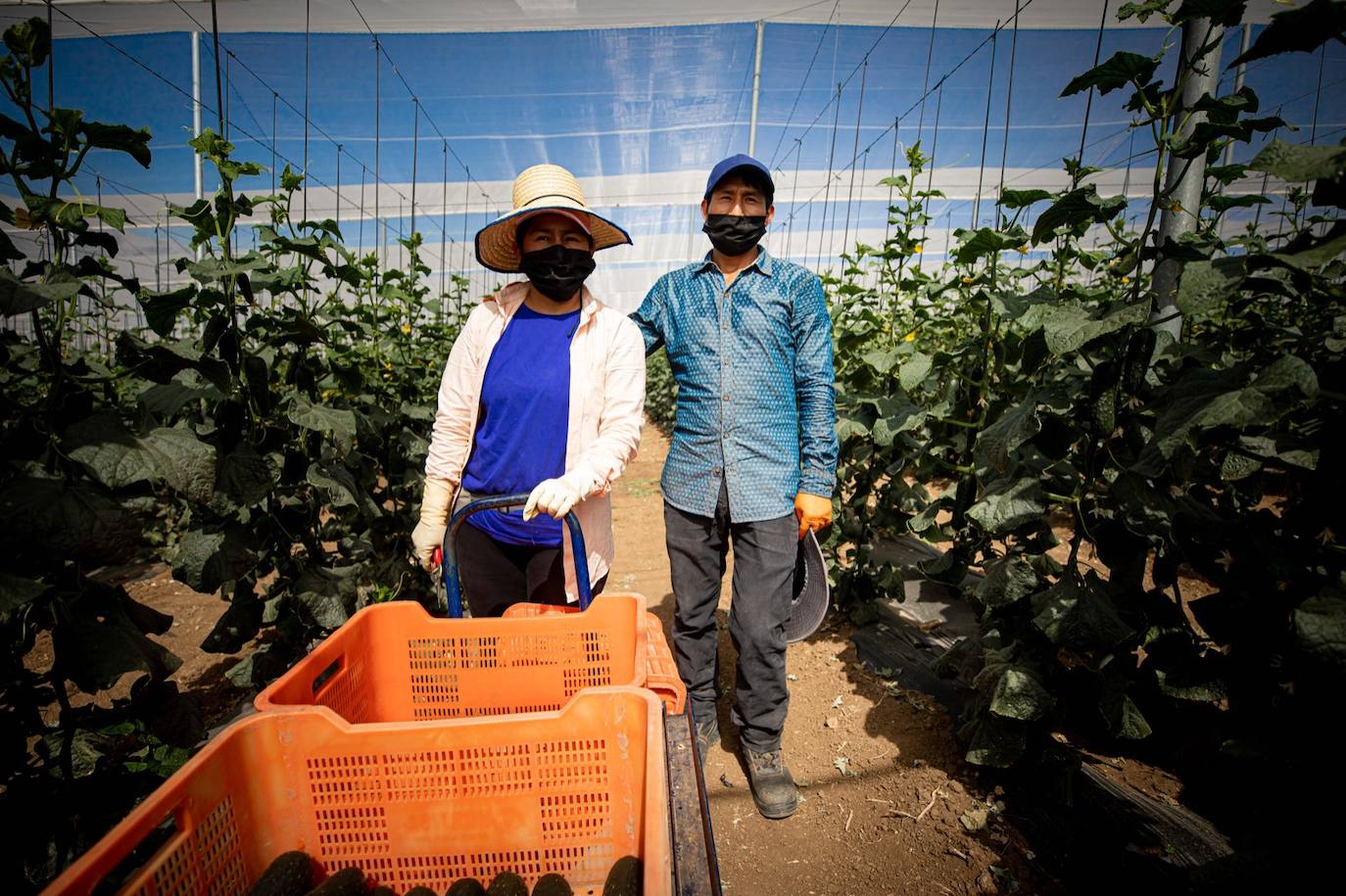 Fotos: Un brote con 15 temporeros confinados inquiera a Játar