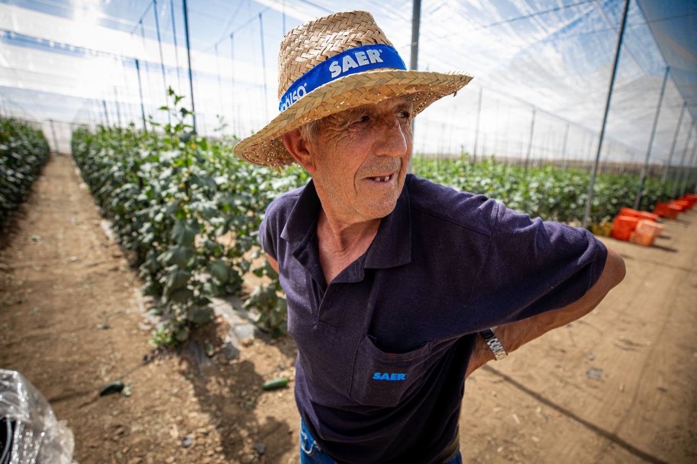 Fotos: Un brote con 15 temporeros confinados inquiera a Játar
