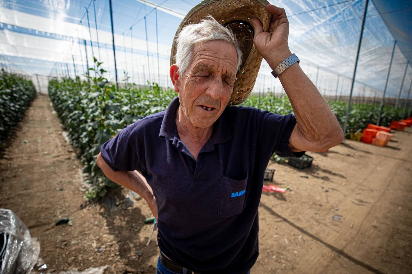 Fotos: Un brote con 15 temporeros confinados inquiera a Játar
