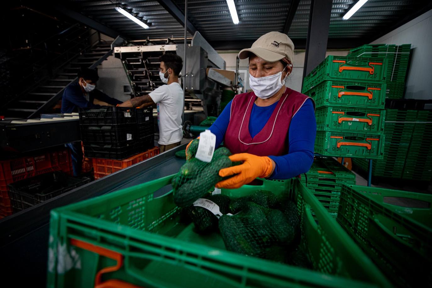 Fotos: Un brote con 15 temporeros confinados inquiera a Játar