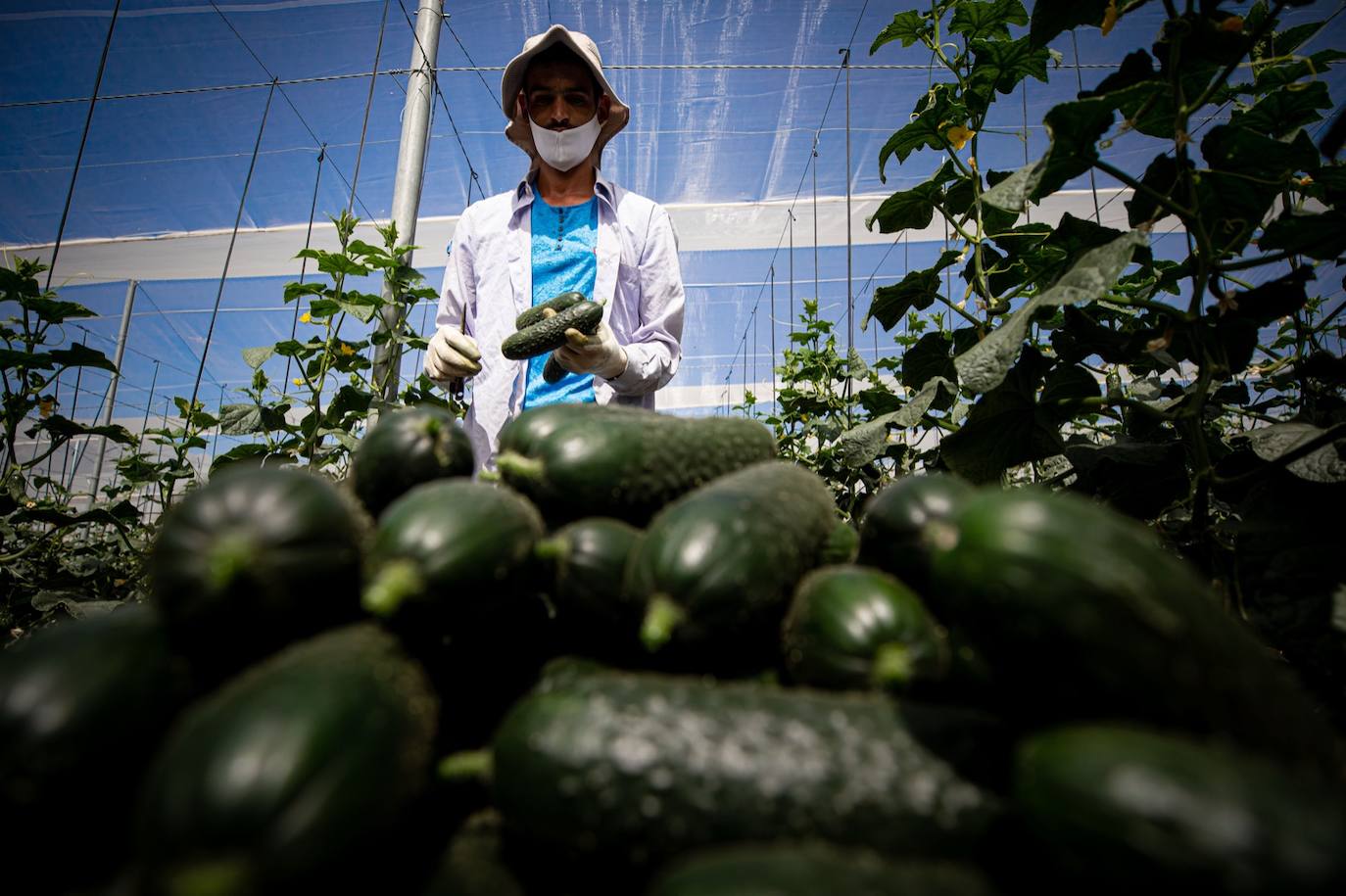 Fotos: Un brote con 15 temporeros confinados inquiera a Játar