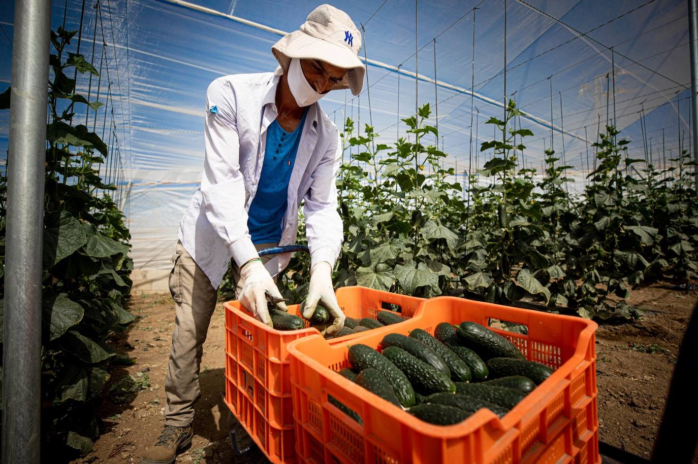 Fotos: Un brote con 15 temporeros confinados inquiera a Játar
