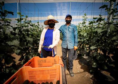 Imagen secundaria 1 - Graciela que lleva 19 años en Játar y su hijo Rider, que se ha incorporado este año. Israel Escalera y su mujer Elizabeth bolivianos afincados en Alhama y Hamza, marroquí. Todos son trabajadores de la empresa Agrícola Cortijo La Loma de Játar. 
