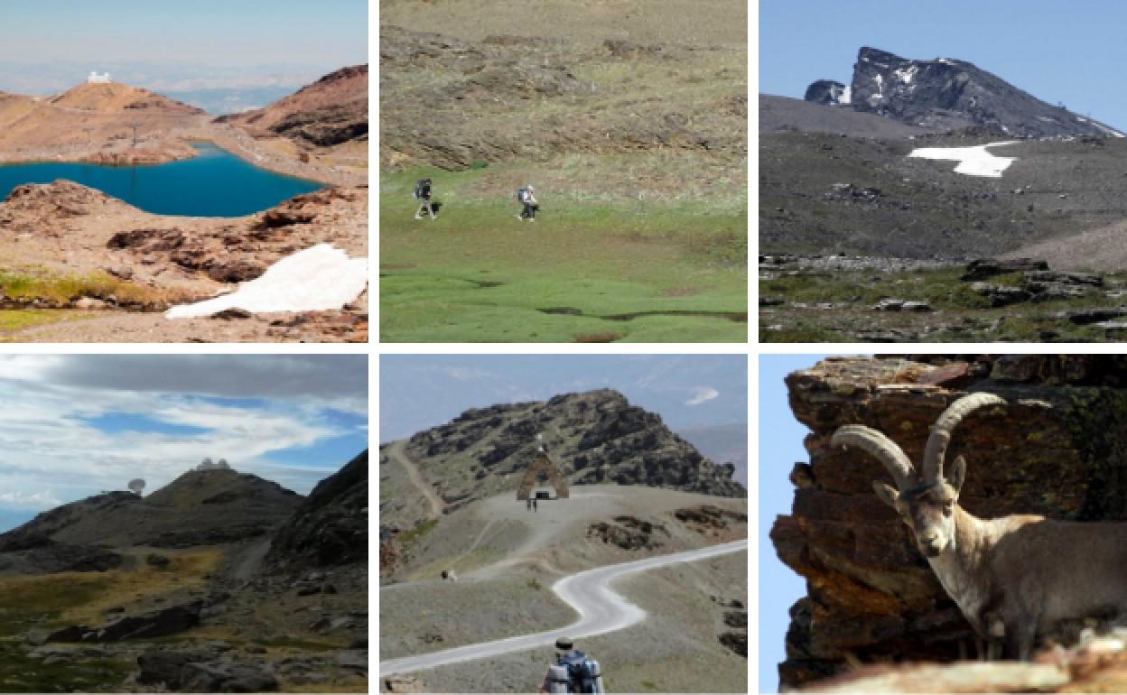 Estas son las seis rutas de senderismo que podrás realizar por Sierra Nevada este verano